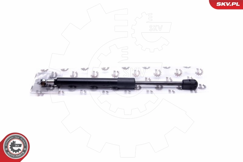 Gas Spring, boot/cargo area